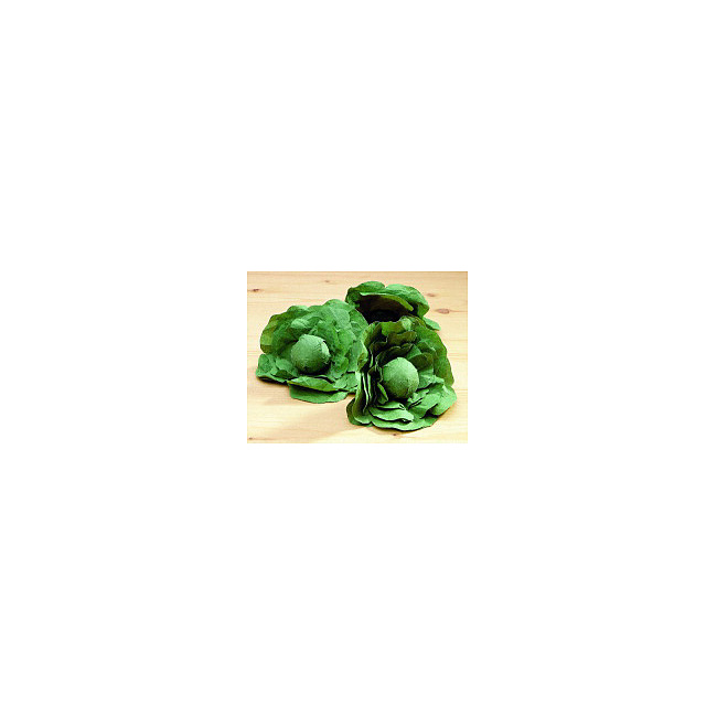 Kaufladen Zubeh�r - Salatkopf