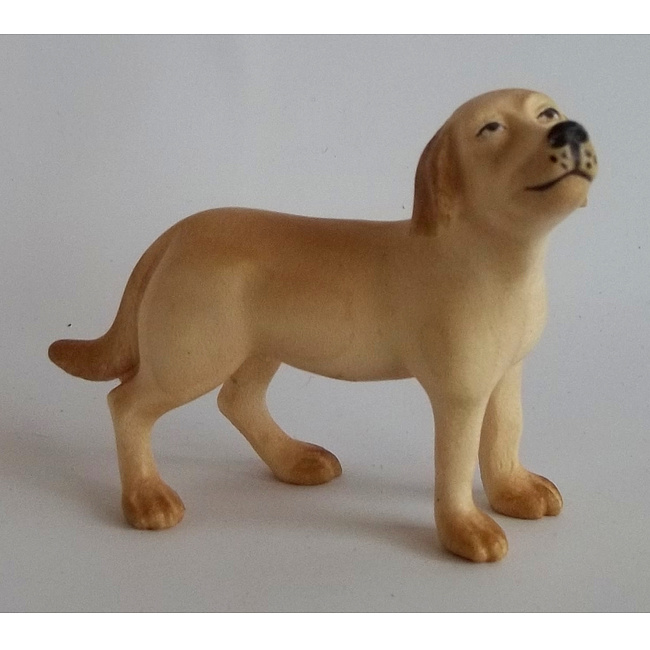 Abendrot Krippe - Hund color