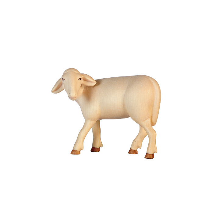 Abendrot Krippe - Schaf stehend color