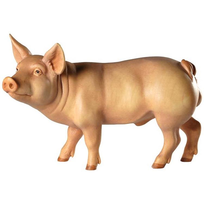 Eber (Schwein) 6,5cm fr 14-16cm Figuren