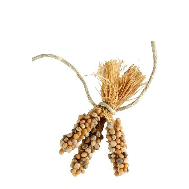 Weihnachtskrippe - Krippenzubeh�r 3 Maiskolben zusammengebunden