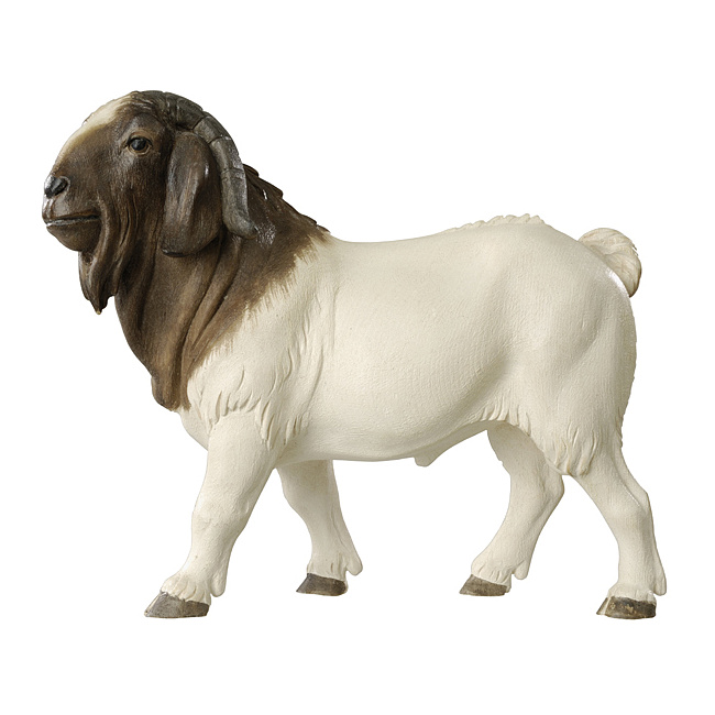 Bethlehem-Krippe - Burenziegenbock color