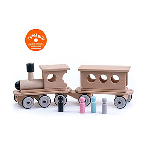 Holz Zug - Einsteigerset F2 (Lok schwarz + Personenwagen) von Dynamiko